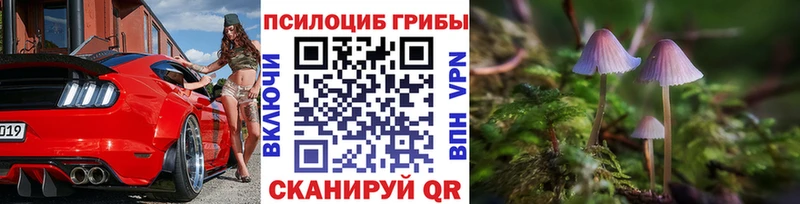 OMG маркетплейс Макарьев даркнет какой сайт Галлюциногенные грибы мухоморы